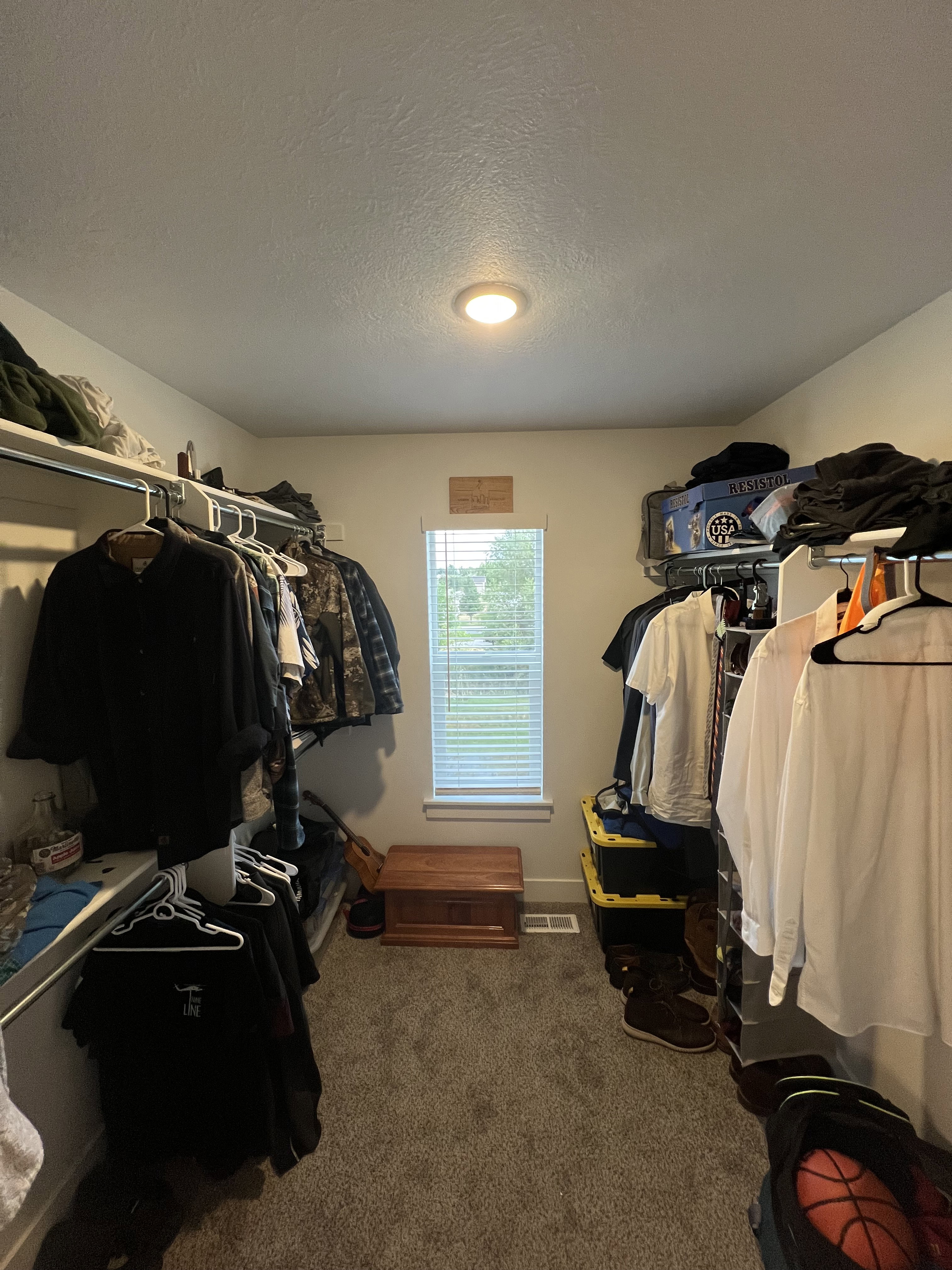 Carpeted closet with a centered window, overhead lighting, and built-in shelving and hanging rods
