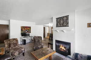 Living area featuring a tiled fireplace with mantel, textured carpeting, and white walls