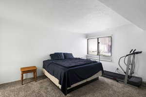 Carpeted room with a window featuring horizontal blinds