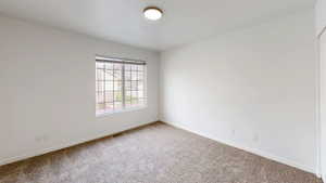Bright interior space featuring textured wall finishes, window with grids, and neutral carpeting