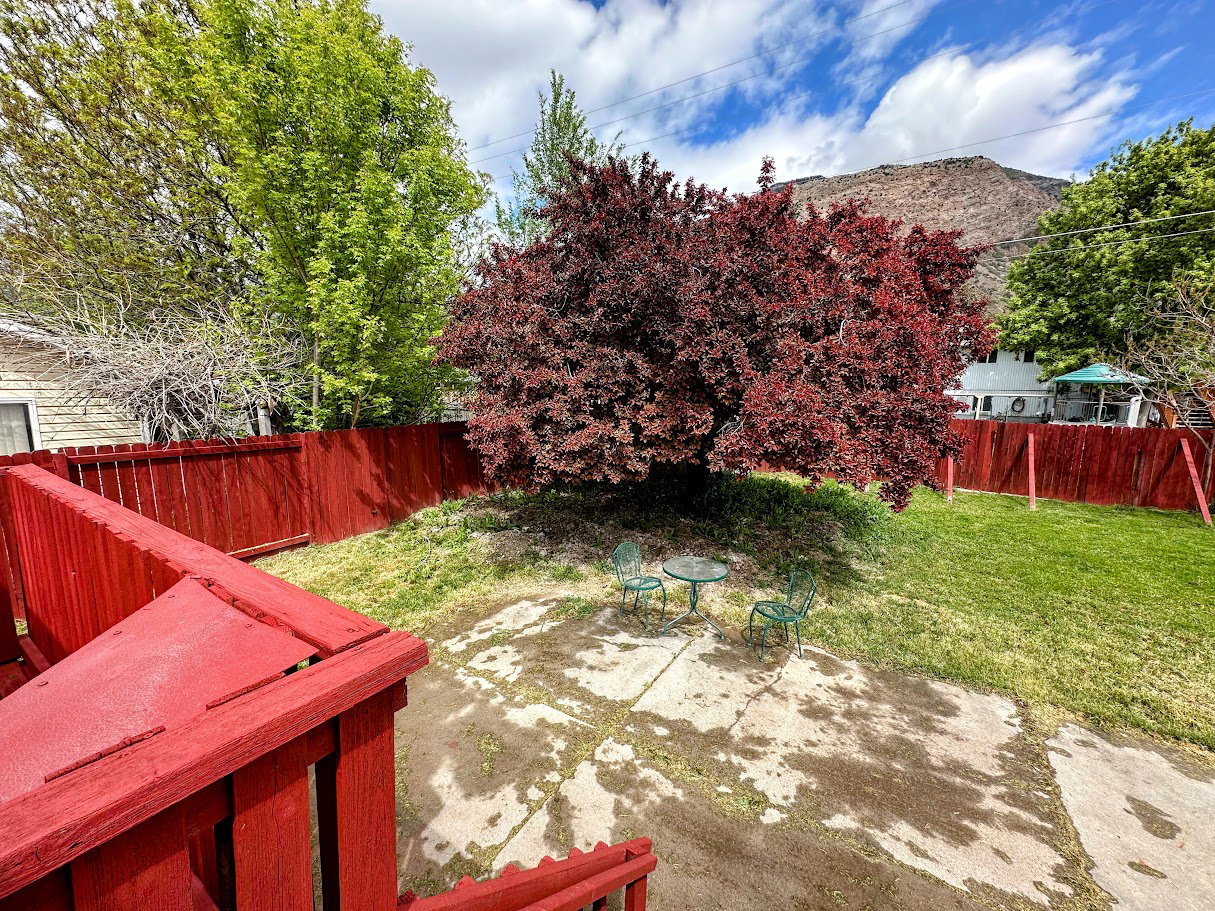 Expansive backyard featuring a vibrant red privacy fence, a mature red-leaf tree, and a concrete patio space