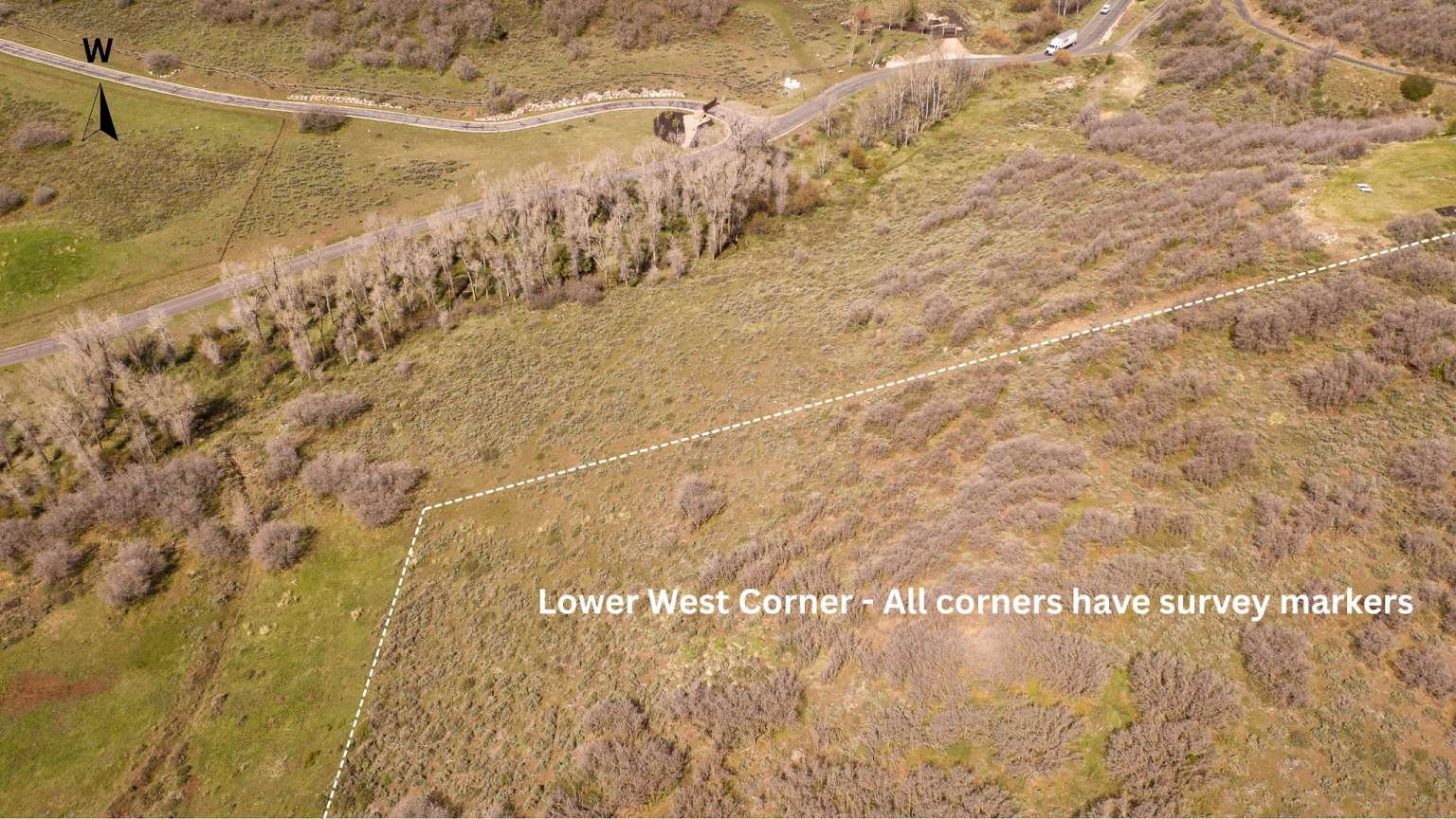 Expansive land parcel featuring natural shrubbery and mature trees, bordered by a paved road