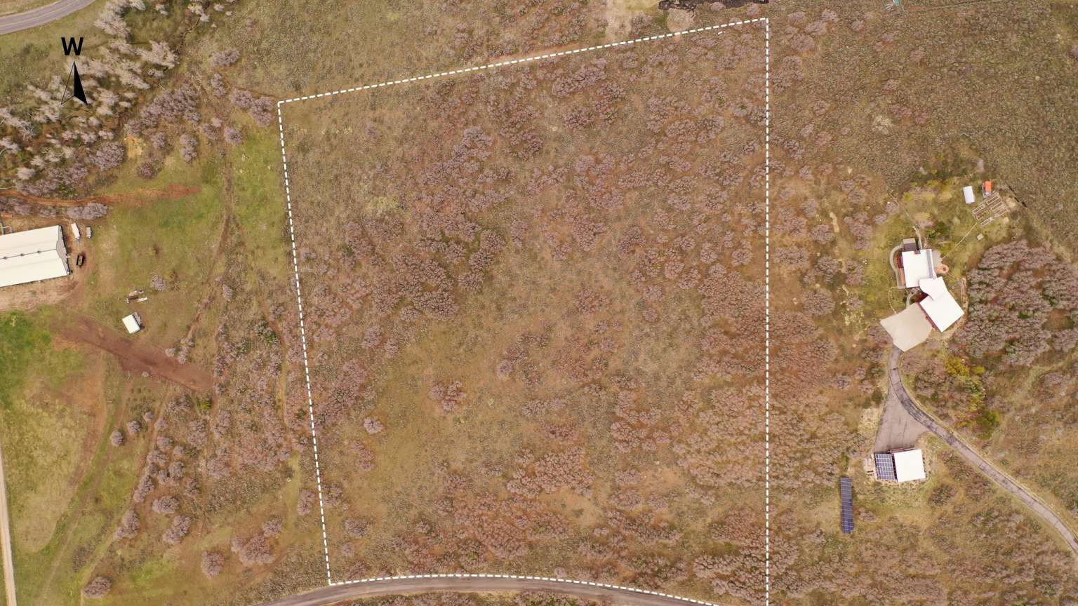 Expansive undeveloped lot featuring natural vegetation, bordered by a defined property line