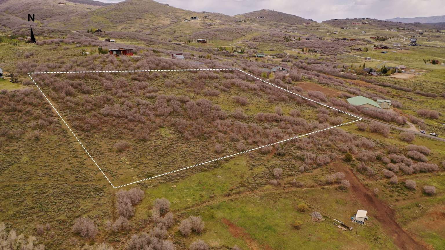 Expansive undeveloped land parcel with natural vegetation