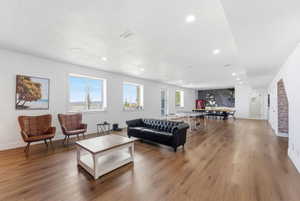 Living room featuring hardwood / wood-style floors, plenty of natural light, and recessed lighting
