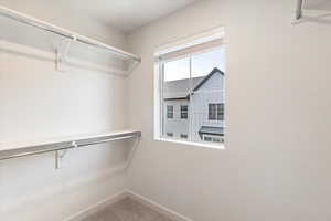 Walk-in closet featuring white walls, a carpeted floor, built-in shelving, and a single window