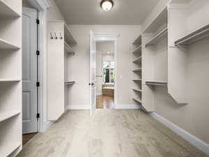 Walk-in closet featuring built-in shelving, hanging rods, light-colored carpeting, and a flush-mount ceiling light fixture