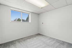 Basement bedroom