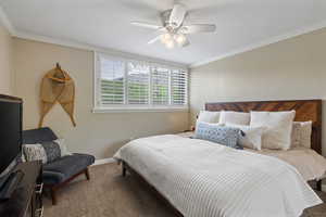 Neutral-toned walls with white crown molding