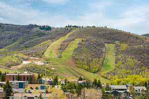 Mountainous landscape featuring multiple ski runs and verdant slopes