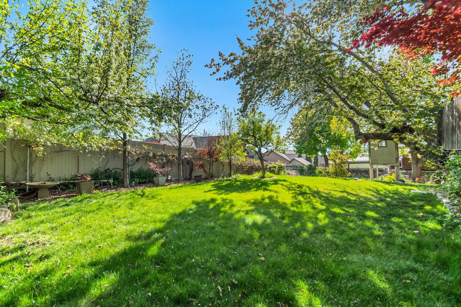 Expansive backyard with a manicured lawn, mature trees, and privacy fencing
