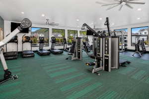 Fitness center featuring green patterned carpet flooring and floor-to-ceiling windows