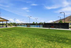 Community green space featuring multiple fenced courts with blue playing surfaces, overhead lighting, and perimeter benches