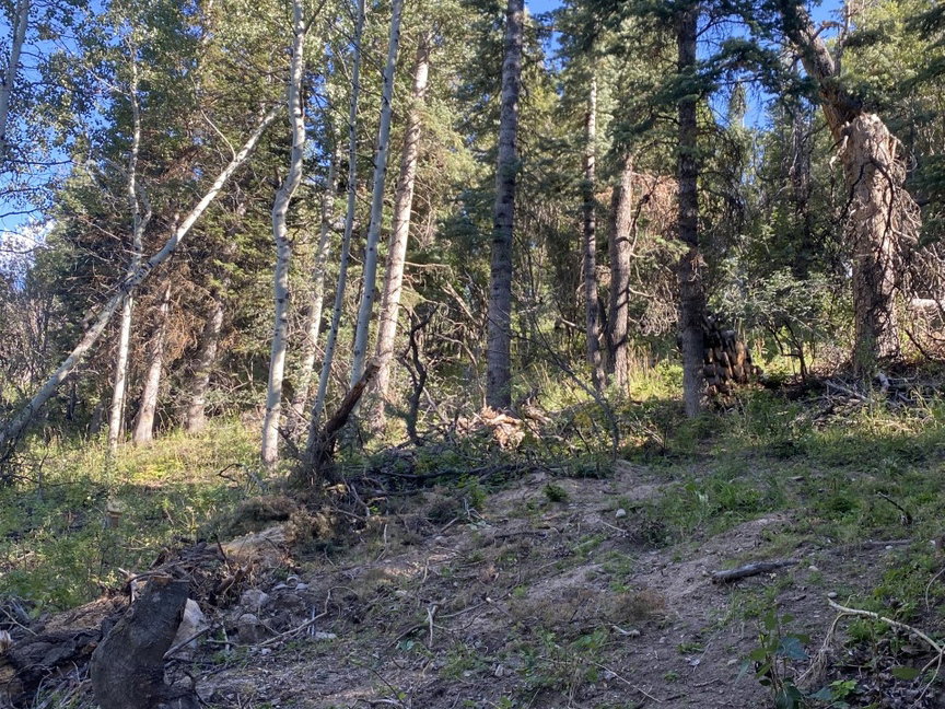 View of nature
