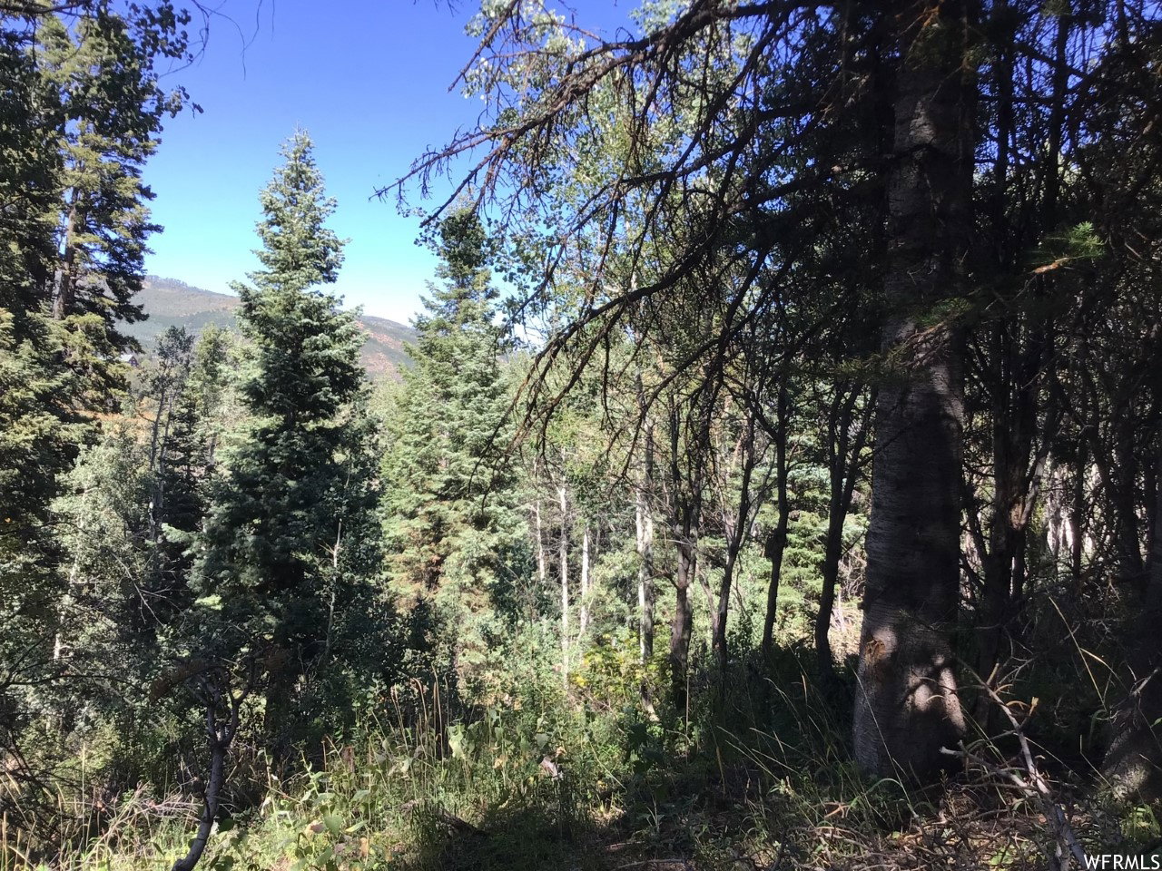 741 W FORGOTTEN LN Coalville UT 84017