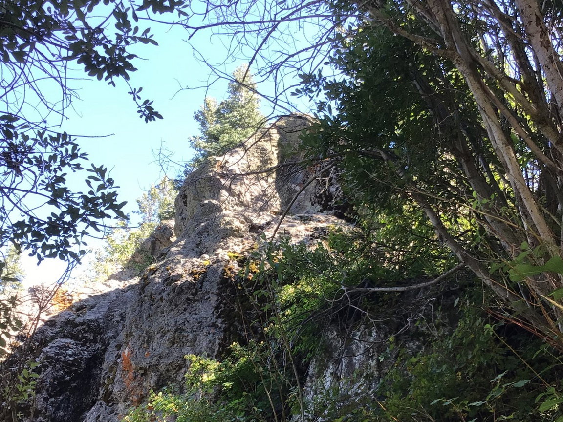 View of local wilderness