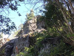 View of local wilderness