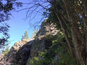 View of undeveloped land