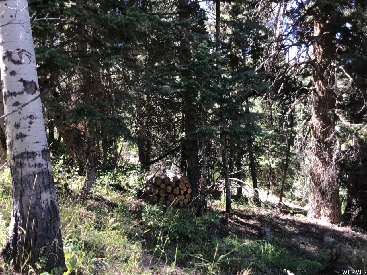 View of undeveloped land