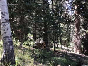 View of undeveloped land