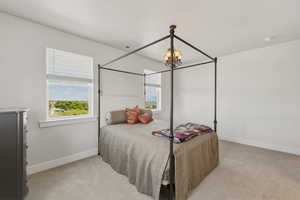 Bright bedroom featuring two large windows with white blinds, neutral carpeting, and a built-in ceiling light fixture