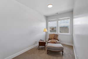 Bright room featuring two windows with white blinds, neutral carpeting, light-colored walls, and a ceiling light fixture