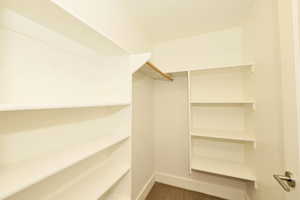 Walk-in closet featuring extensive white shelving, a wood-finish hanging rod, and carpet flooring