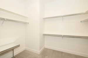 Spacious walk-in closet featuring light-colored walls, carpet flooring, and white baseboards