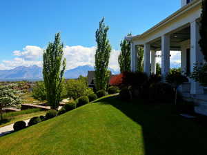 Expansive front lawn with manicured landscaping, concrete pathway, and mature trees
