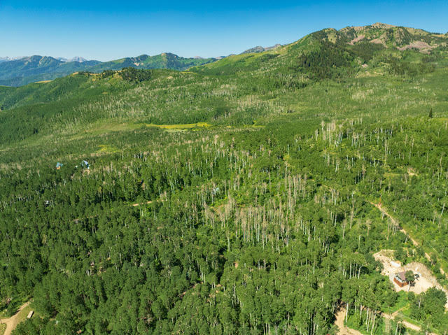 Expansive mountain terrain with dense deciduous and evergreen tree cover