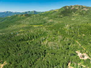 Expansive mountain terrain with dense deciduous and evergreen tree cover