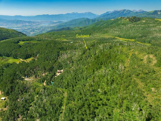 Expansive mountainous terrain featuring a dense forest of evergreen and deciduous trees