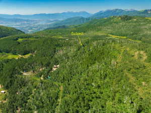 Expansive mountainous terrain featuring a dense forest of evergreen and deciduous trees