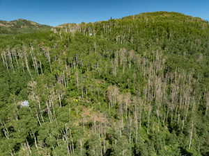Mountainous terrain with dense tree coverage, featuring a visible structure nestled within the trees