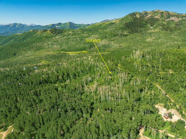Expansive mountain landscape featuring dense green forests and distant peaks