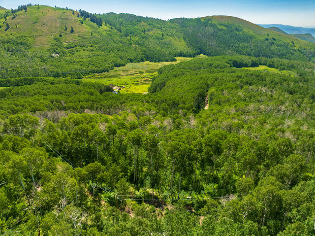 Expansive, verdant landscape featuring a dense forest canopy and rolling hills