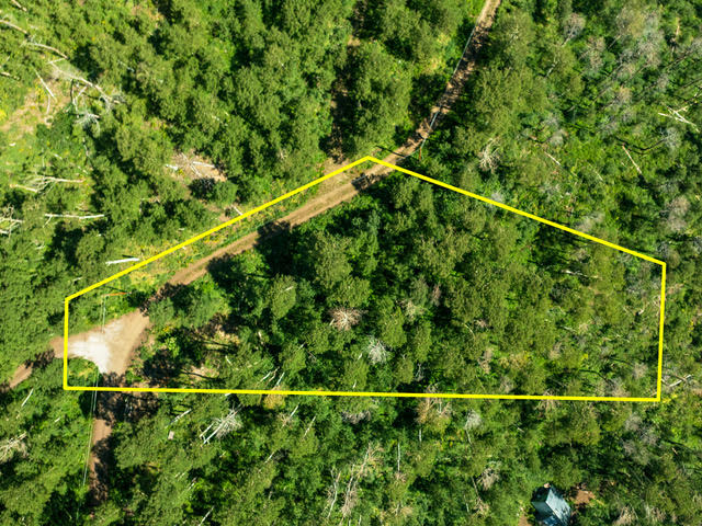 Expansive wooded parcel featuring mature trees, a natural landscape, and a defined boundary line