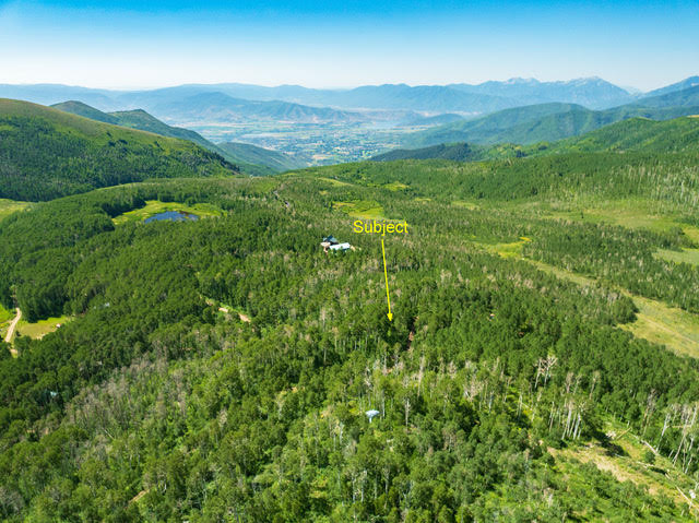 Expansive treed landscape with distant mountainous terrain