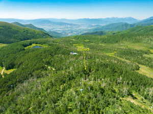Expansive treed landscape with distant mountainous terrain