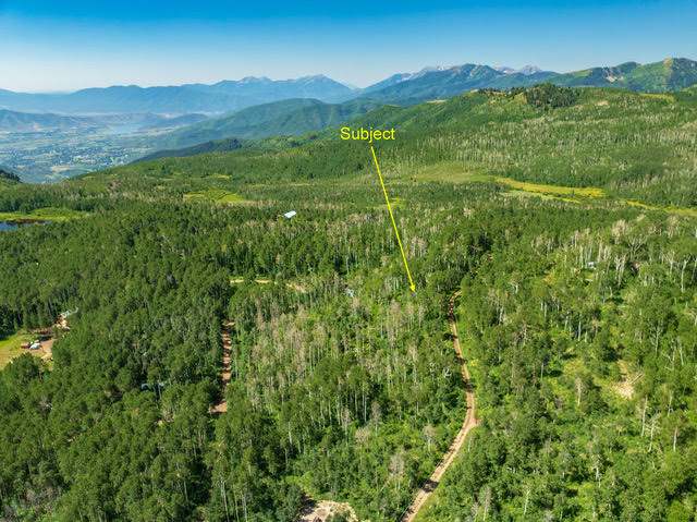 Expansive wooded acreage featuring diverse tree coverage, a visible dirt road, and distant mountain ranges under a clear sky
