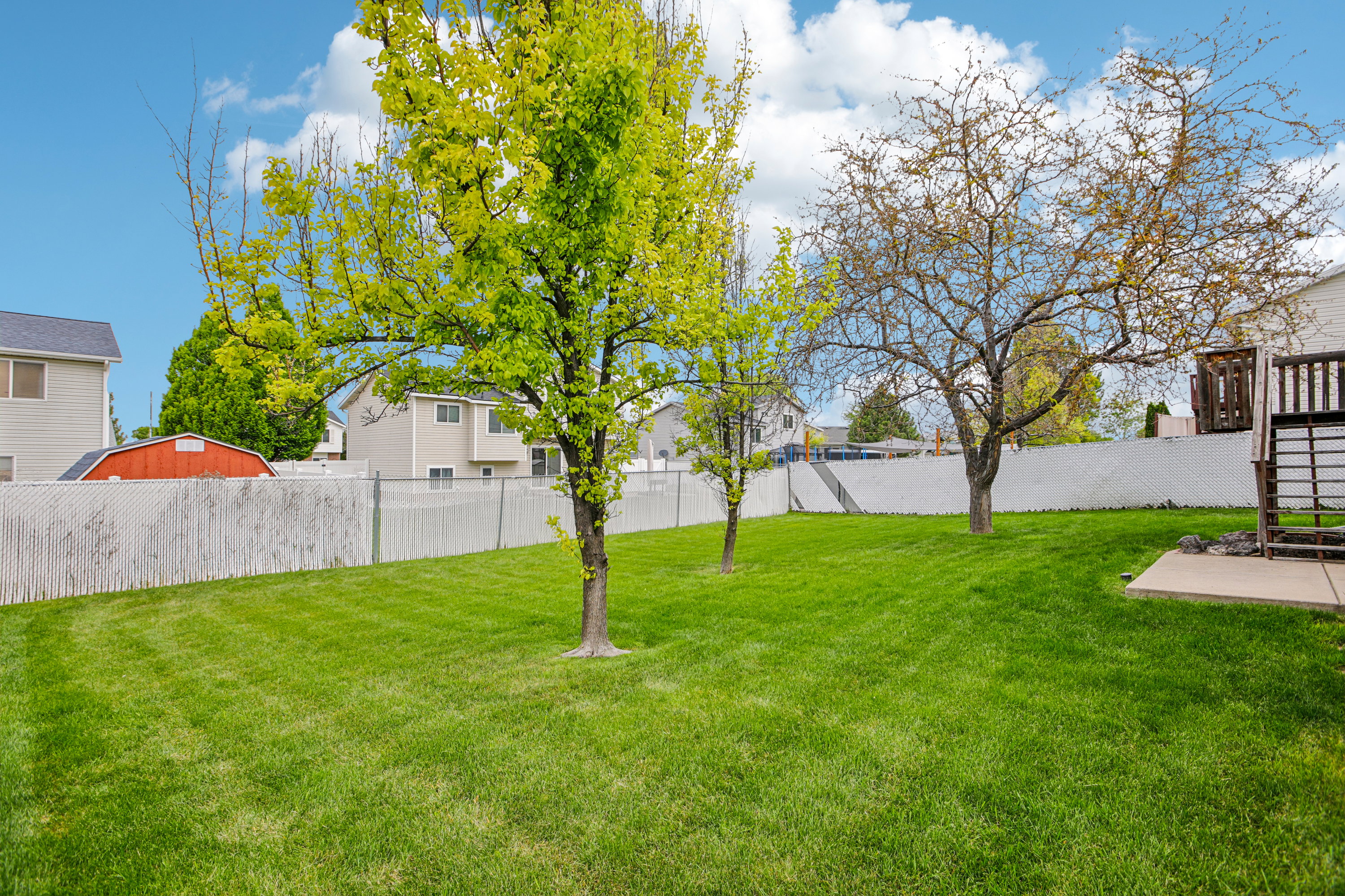Expansive backyard featuring a lush lawn, established trees, a chain-link fence, and a concrete patio