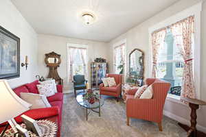 Spacious living area featuring light-toned walls, plush grey carpeting, bright window trim, and a decorative ceiling light fixture