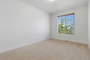 Neutral-toned carpeting paired with white baseboards and walls