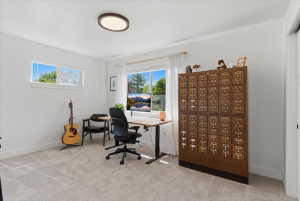 Bright room featuring light-toned carpeting, white walls, and two distinct windows providing natural illumination