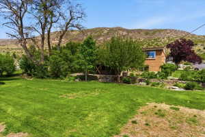 Expansive front lawn with mature trees and a brick-sided residence featuring a multi-pane window