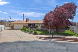 Ranch-style residence featuring a brick facade, attached single-car garage, mature deciduous tree, and a concrete driveway