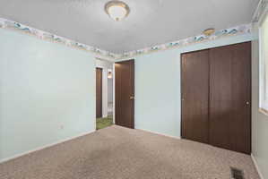 Carpeted room featuring a ceiling-mounted light fixture, light blue walls, and a decorative border
