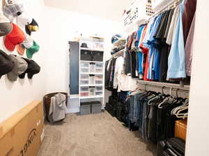 Walk-in closet featuring extensive built-in shelving, multiple hanging rods, and neutral carpet flooring