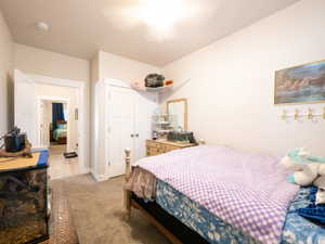 Bedroom featuring light beige wall paint, carpet flooring, and a ceiling light fixture