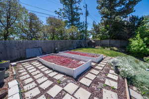 Expansive outdoor space featuring two raised garden beds with red foliage, concrete stepping stones, and a sloped lawn area